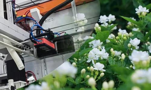 Goermicro and Leading University Jointly Develop Automated Jasmine Harvesting Robot
