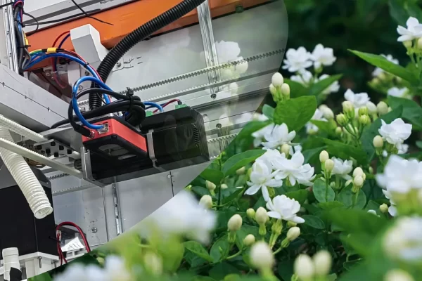 Goermicro and Leading University Jointly Develop Automated Jasmine Harvesting Robot