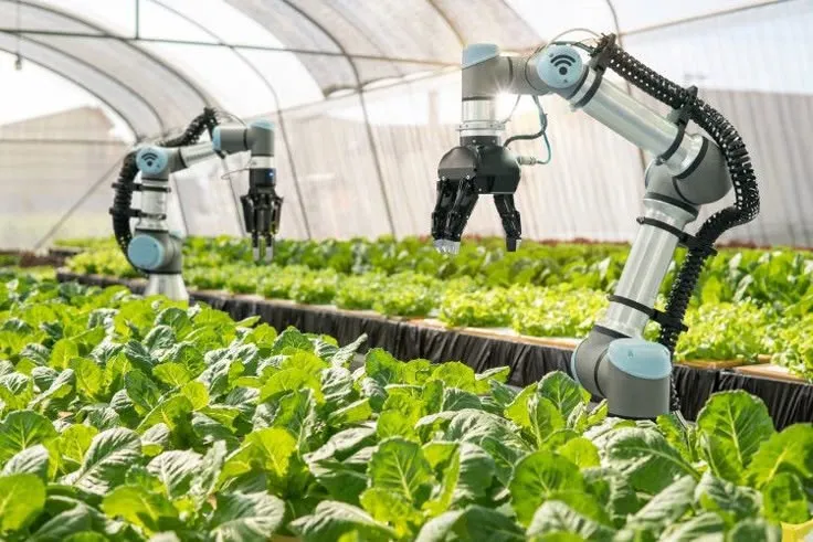 Here's a picture of a ToF camera-assisted robotic arm doing agricultural harvesting.