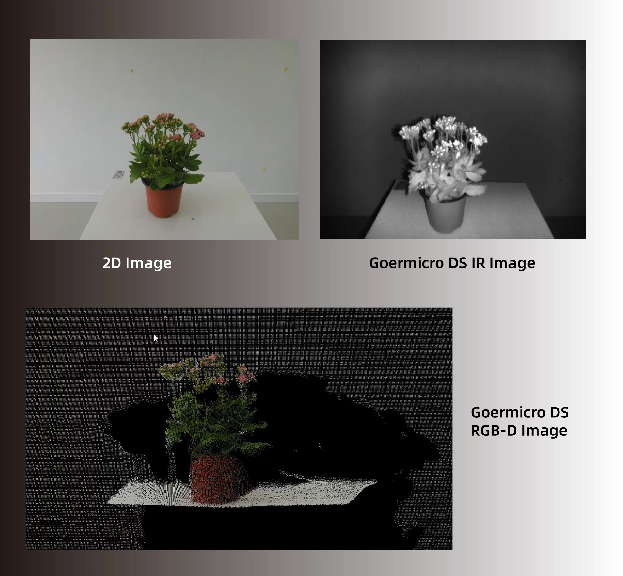 Goermicro ToF camera use for antomatic harvesting-08